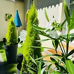 Parking & Terrasse Pres Du Centre *