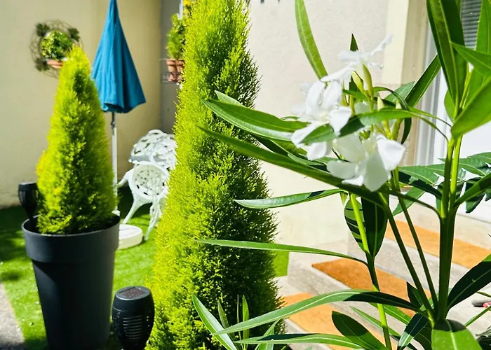 Parking & Terrasse Pres Du Centre *